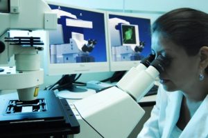 Cuba e Italia lideran estudio internacional sobre planta medicinal