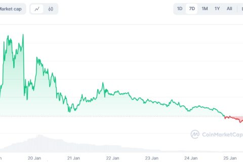 La euforia por el nuevo token oficial de Donald Trump se enfría